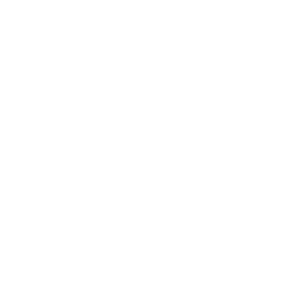 Playaz Recordings